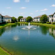 AUS Dredge Dive Fall HOA Pond Checklist