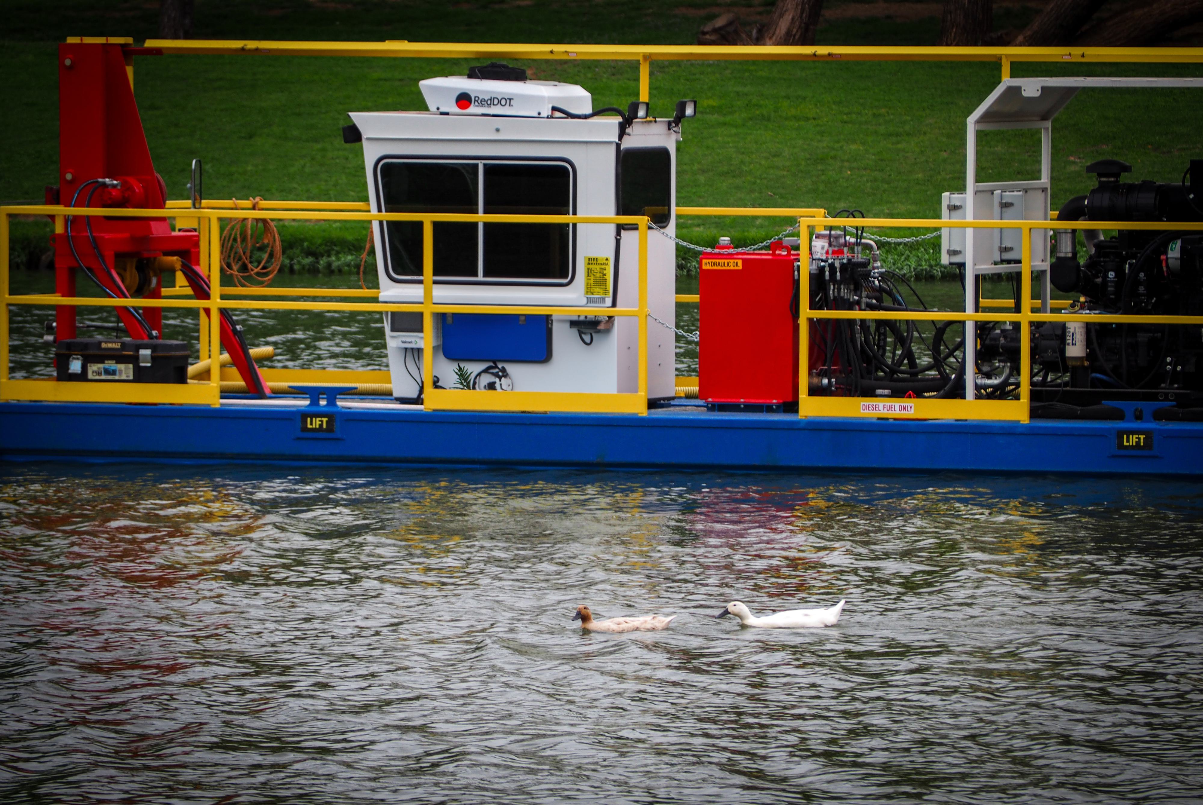 AUS dredge and ducks