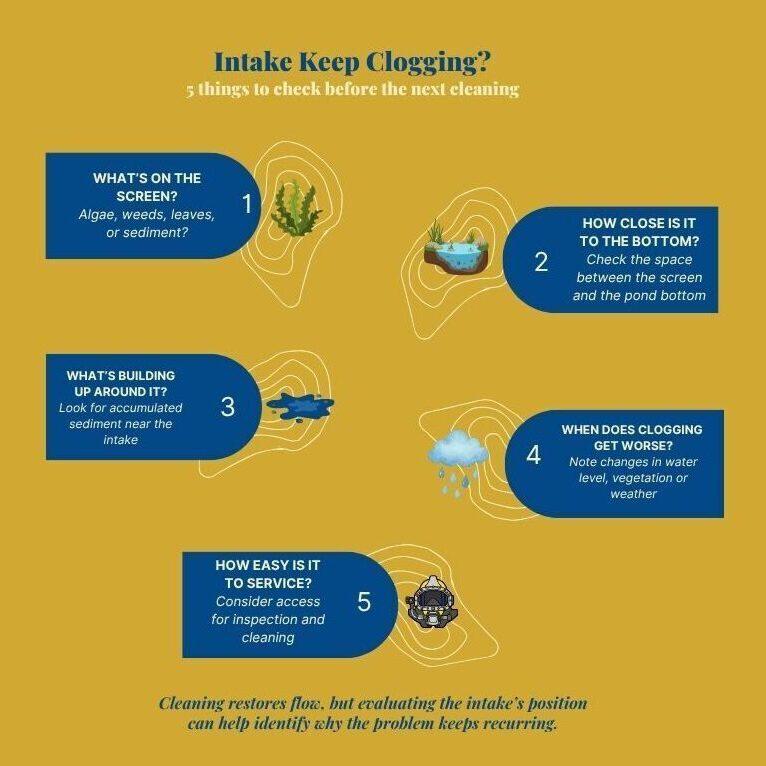 5 Things to Check Before Your Next Intake Cleaning